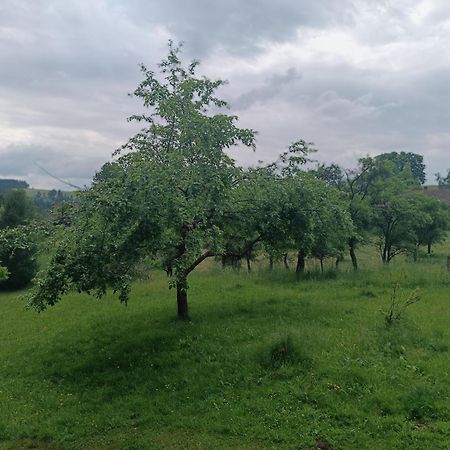 Chalupa U Kuby Vysoké nad Jizerou Buitenkant foto