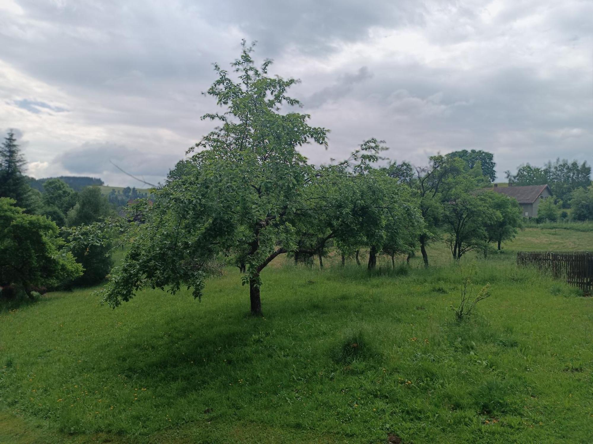 Chalupa U Kuby Vysoké nad Jizerou Buitenkant foto